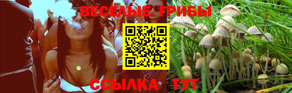 Псилоцибиновые грибы Cubensis  Вход с VPN  Псилоцибиновые грибы Psilocybine cubensis  Батайск 